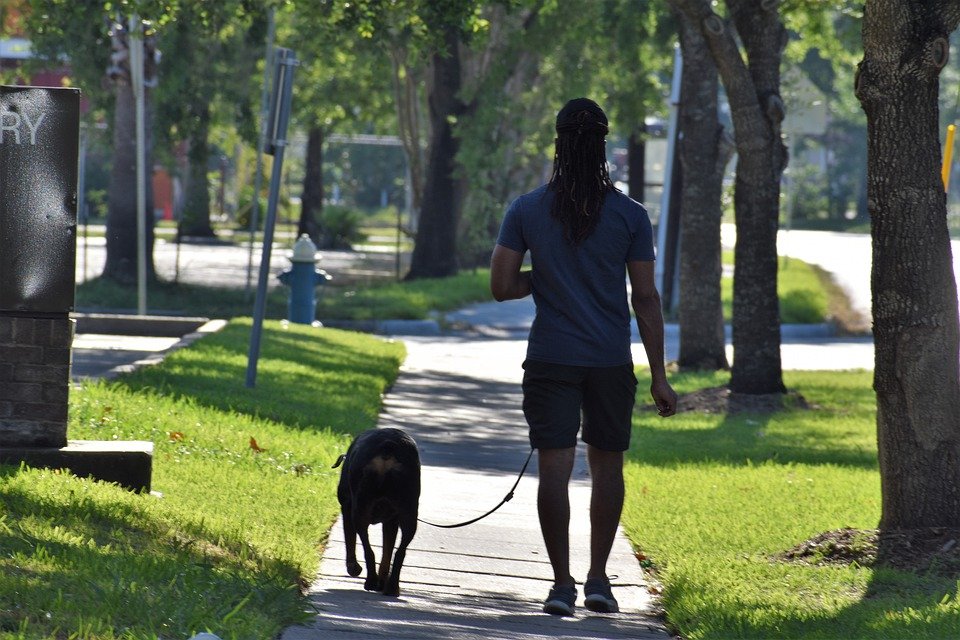 A photo of a man walking his dog. | Photo: Pexels