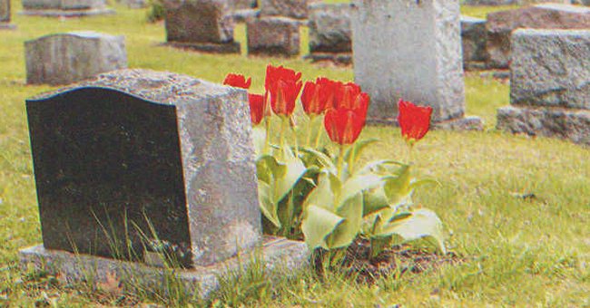 A grave with several red flowers in front of it | Source: Shutterstock