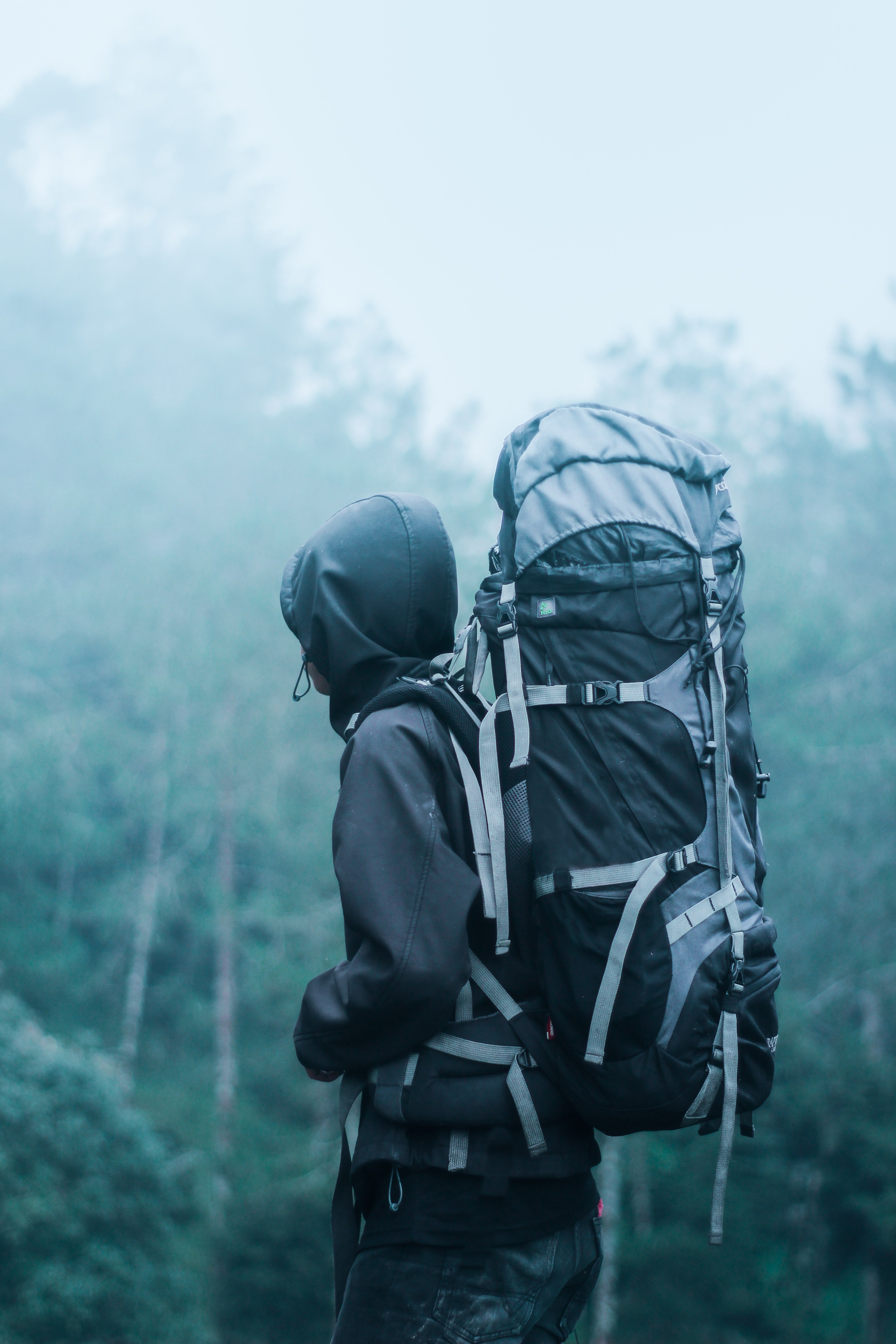 Hiker carrying a backpack. | Source: Pexels/ Lalu Fatoni