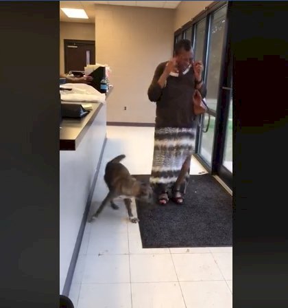 Fuente: Facebook / Jackson Friends of the Animal Shelter