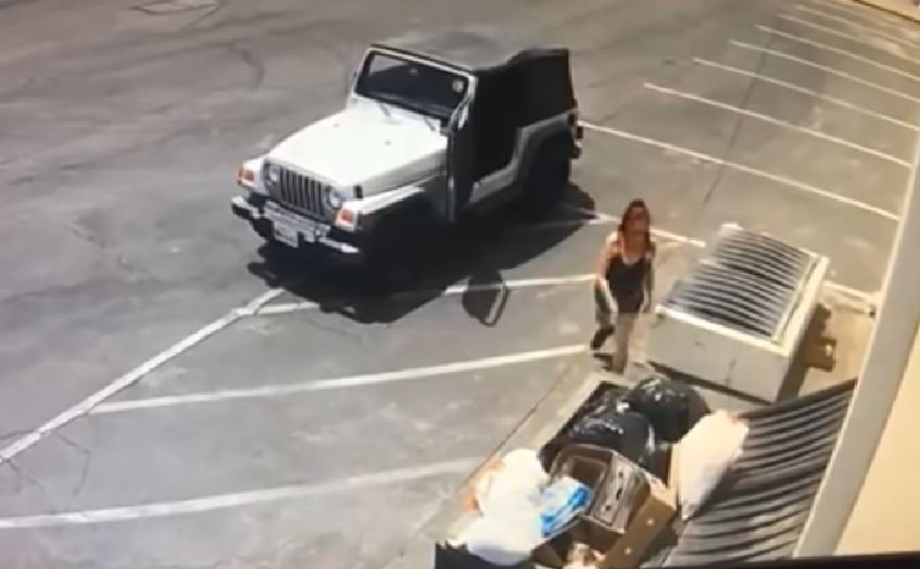 Las autoridades ahora buscan a la responsable del delito. | Foto: YouTube / RivCOanimalsPIO Las autoridades ahora buscan a la responsable del delito. | Foto: YouTube / RivCOanimalsPIO