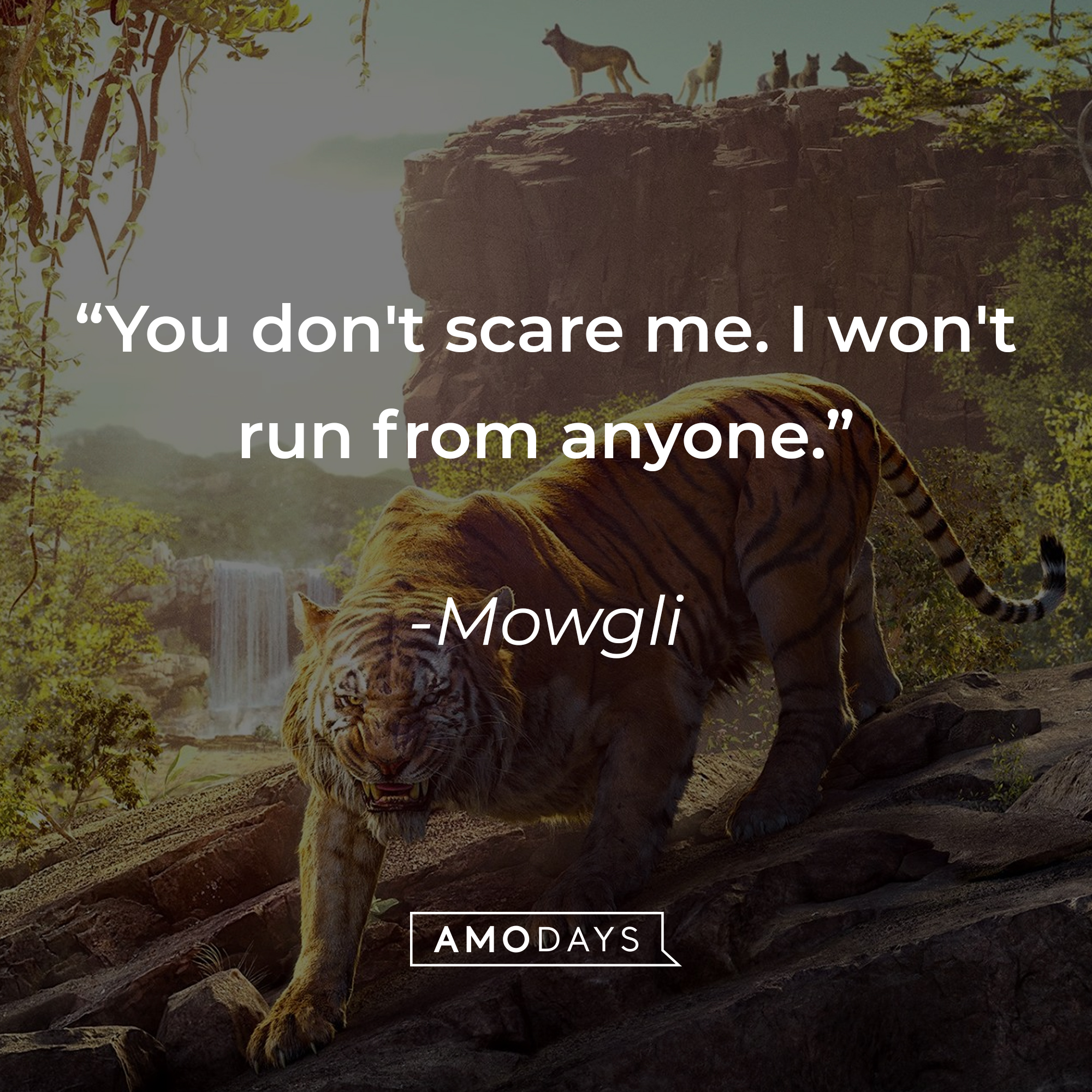 Mowgli's quote: "You don't scare me. I won't run from anyone." | Source: facebook.com/DisneyJungleBook