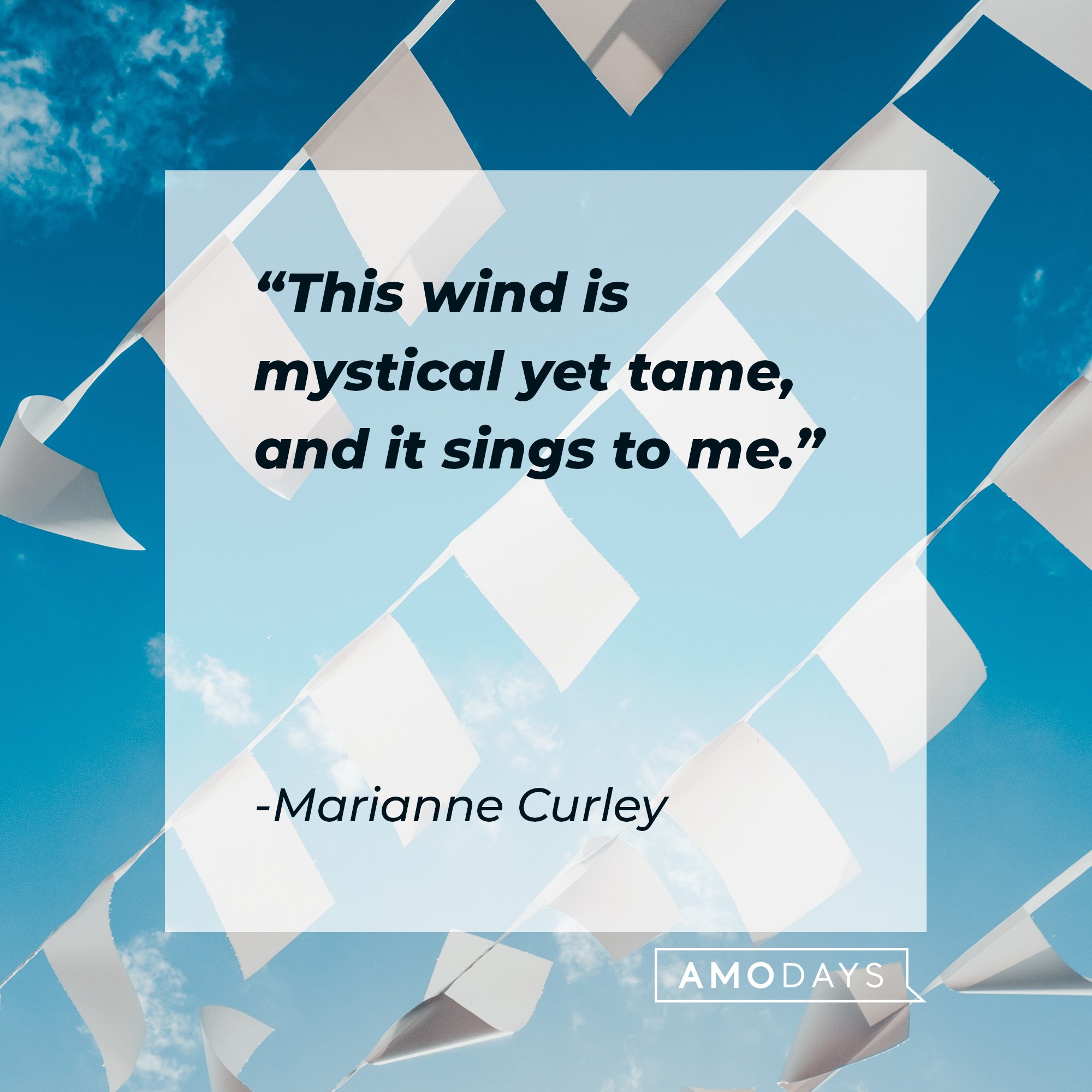 72 Quotes about the Wind to Help You Decide Which Way to Blow