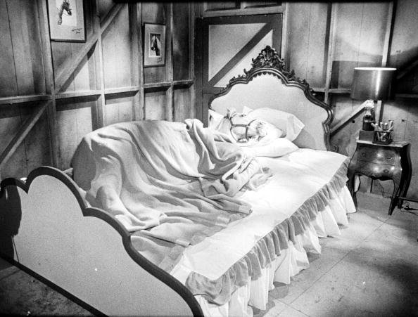 American horse and actor Bamboo Harvester lies in a bed for an episode of "Mister Ed" in 1962. | Photo: Getty Images