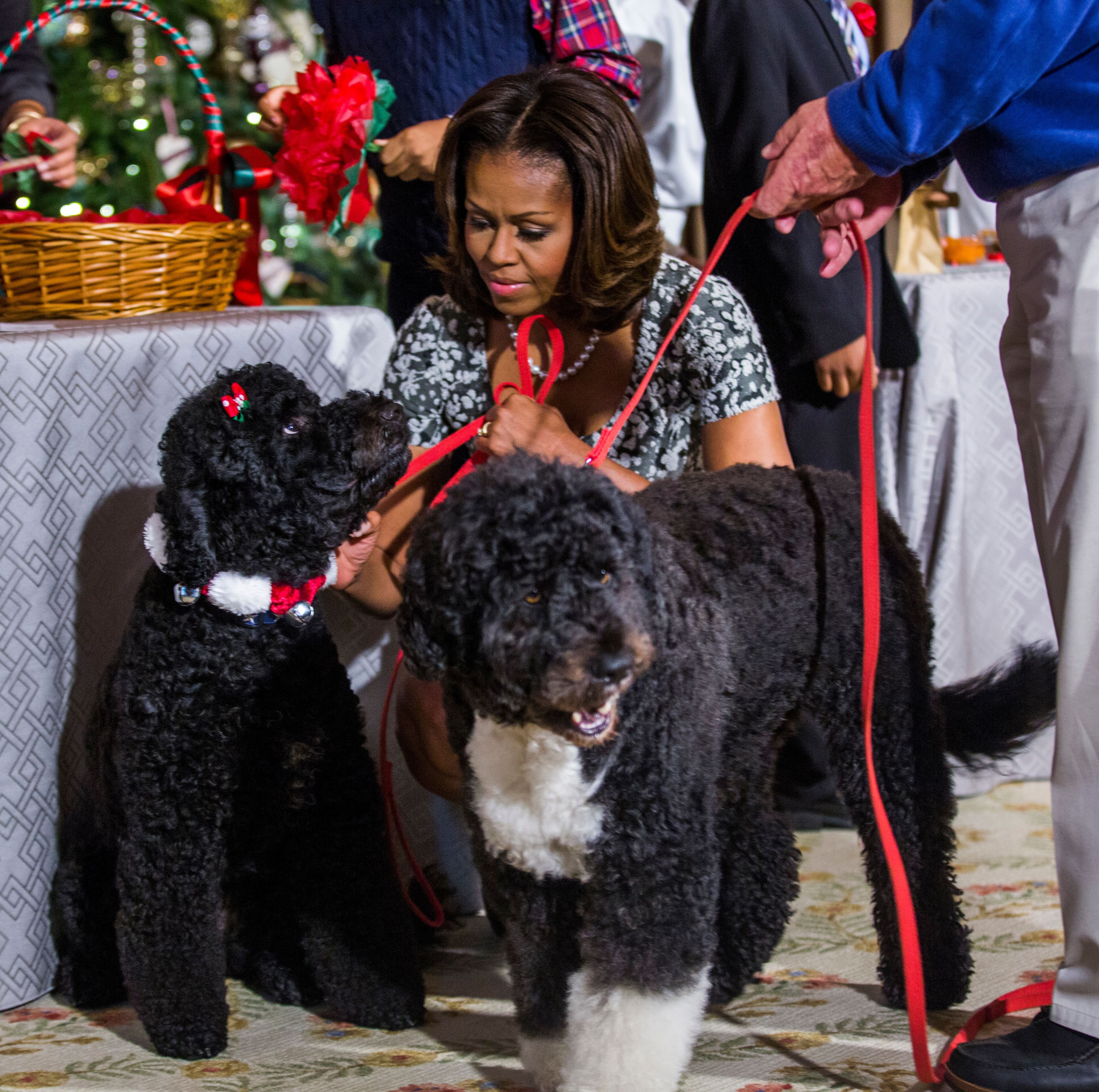 US First Lady Michelle Obama with the family dogs Sunny (L) and Bo (R) during an event to preview the holiday decorations at the White House in Washington, DC. (Photo by Brooks Kraft LLC/Corbis via Getty Images)