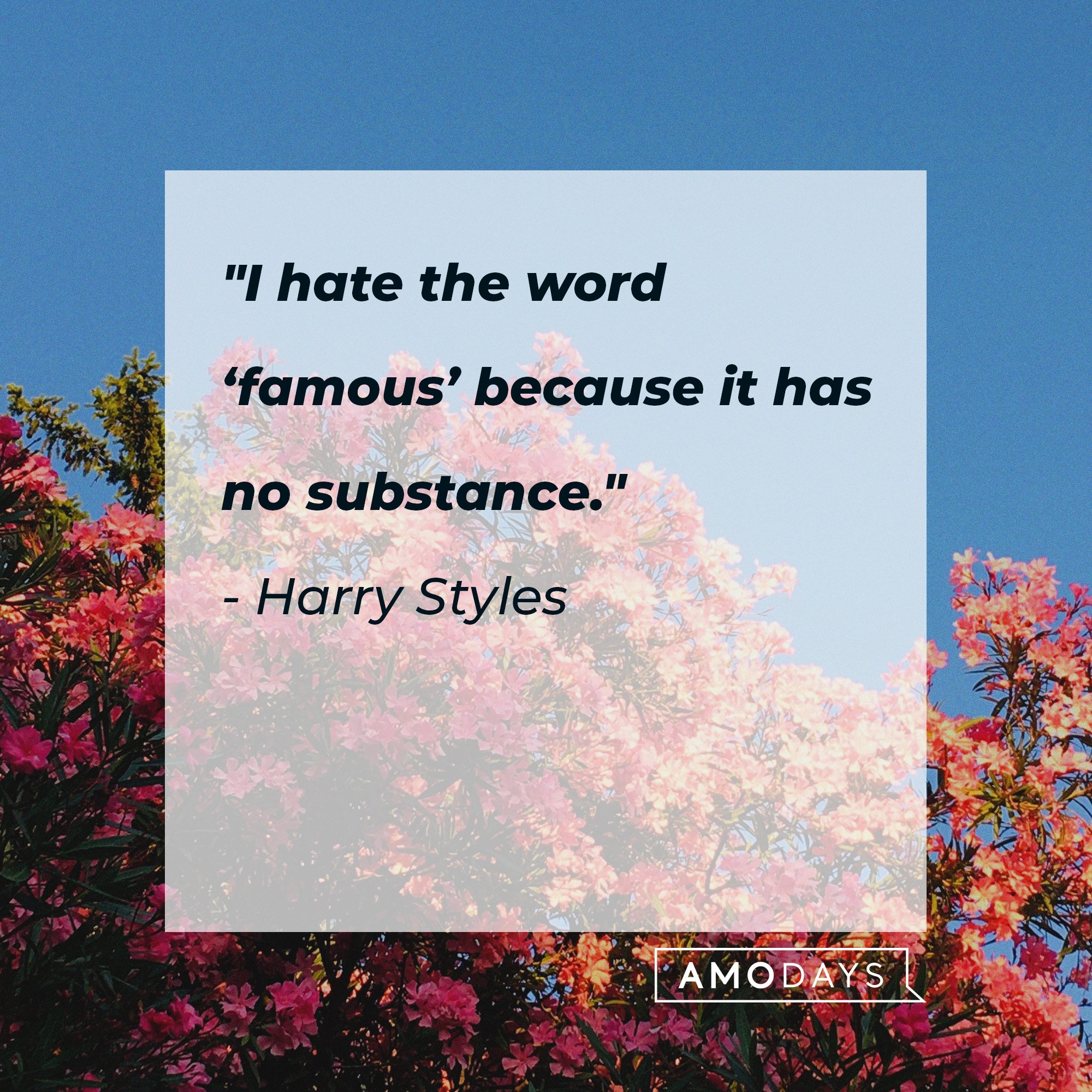 Harry Styles’ quote: "I hate the word famous because it has no substance."  |  Source: AmoDays