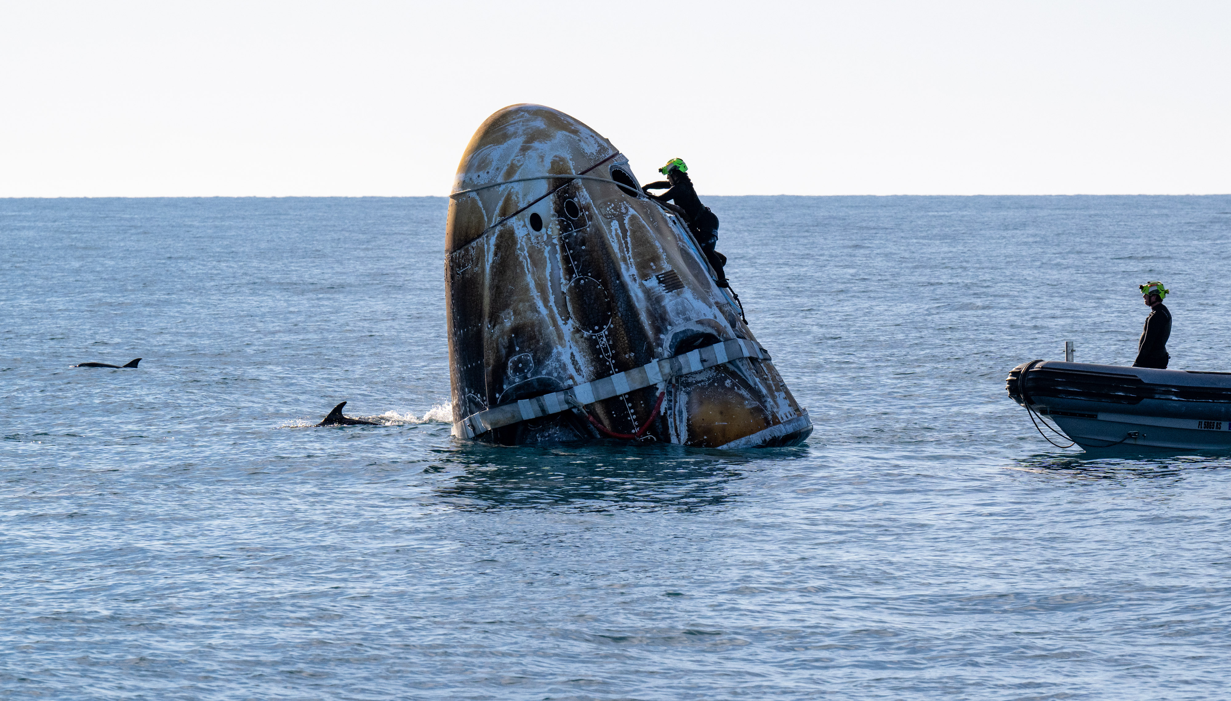 NASA support teams work on the SpaceX Dragon spacecraft shortly after it landed with NASA astronauts Nick Hague, Suni Williams and Butch Wilmore, and Aleksandr Gorbunov onboard off the coast of Tallahassee, Florida, on March 18, 2025 | Source: Getty Images