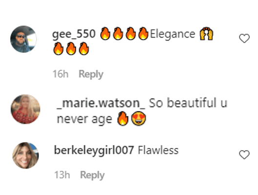 Screenshot showing comments on Nicole Murphy's IG post | Source: Instagram/nikimurphy