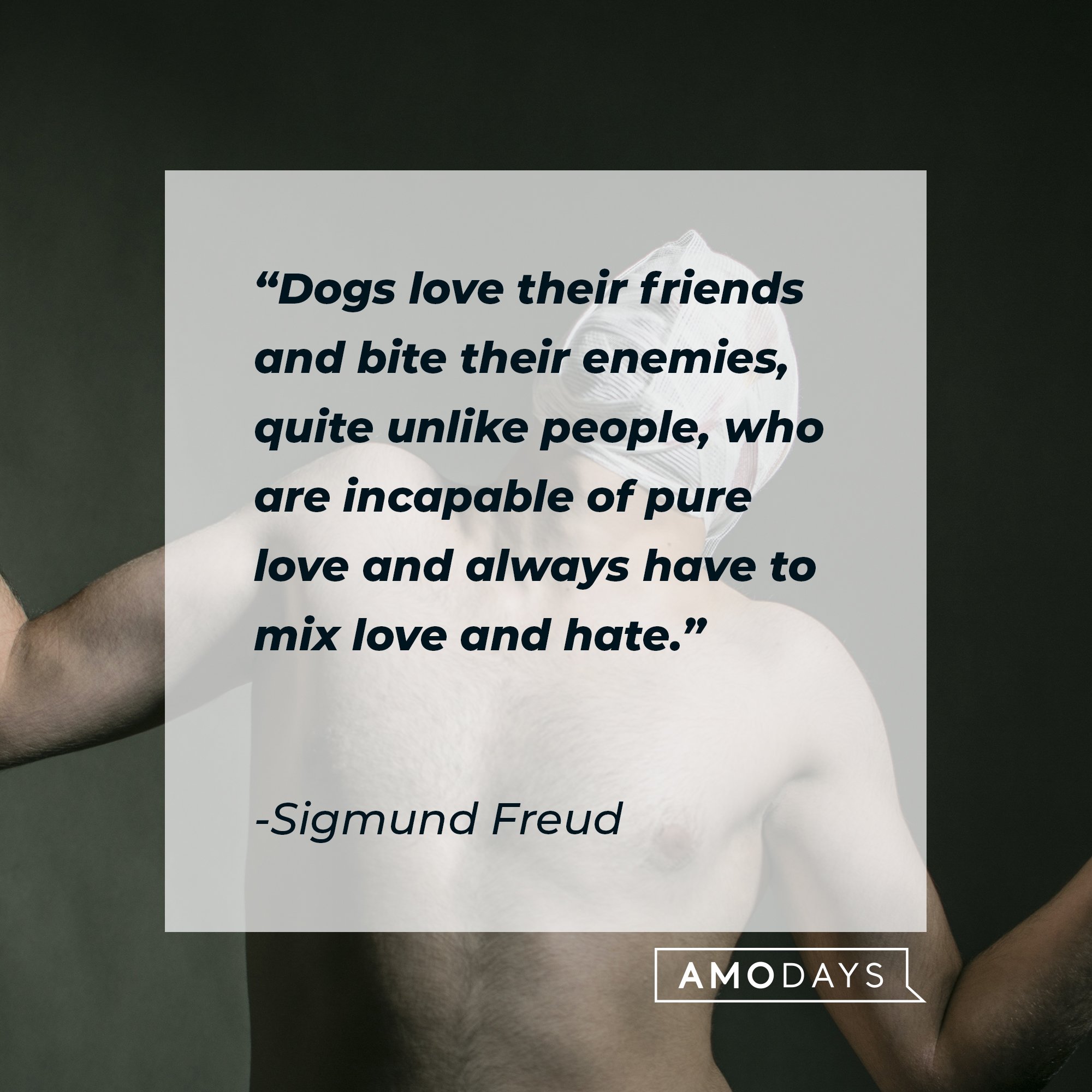 Sigmund Freud’s quote: "Dogs love their friends and bite their enemies, quite unlike people, who are incapable of pure love and always have to mix love and hate." | Image: AmoDays 