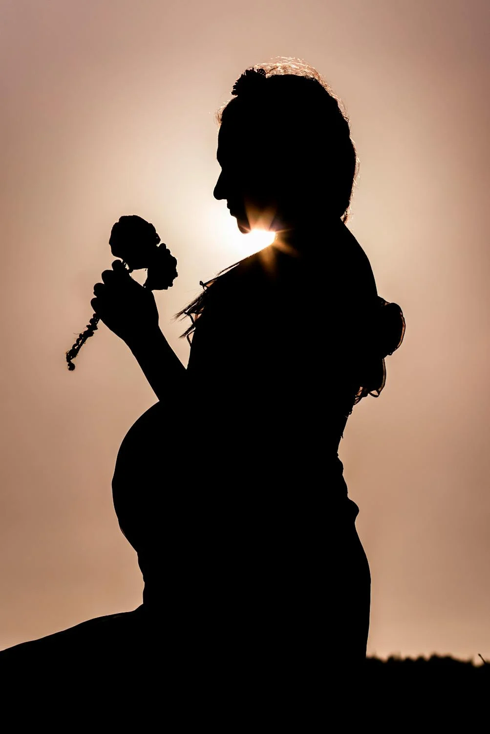 A silhouette of a pregnant woman holding flowers during sunset | Source: Pexels