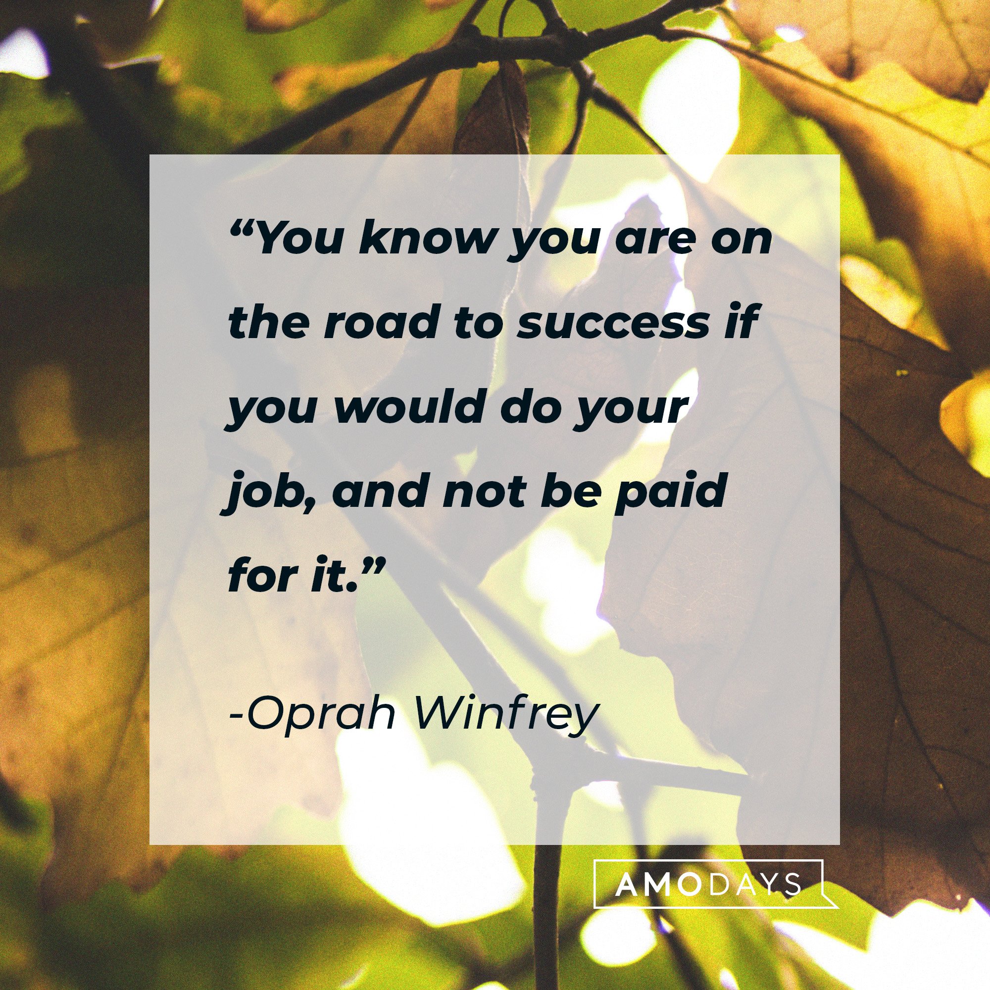 Oprah Winfrey's quote: “You know you are on the road to success if you would do your job, and not be paid for it.” | Image: AmoDays