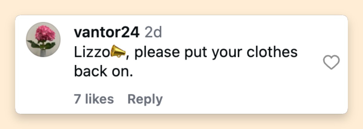 A netizen's reaction to Lizzo's latest music video | Source: Instagram/tmz_tv