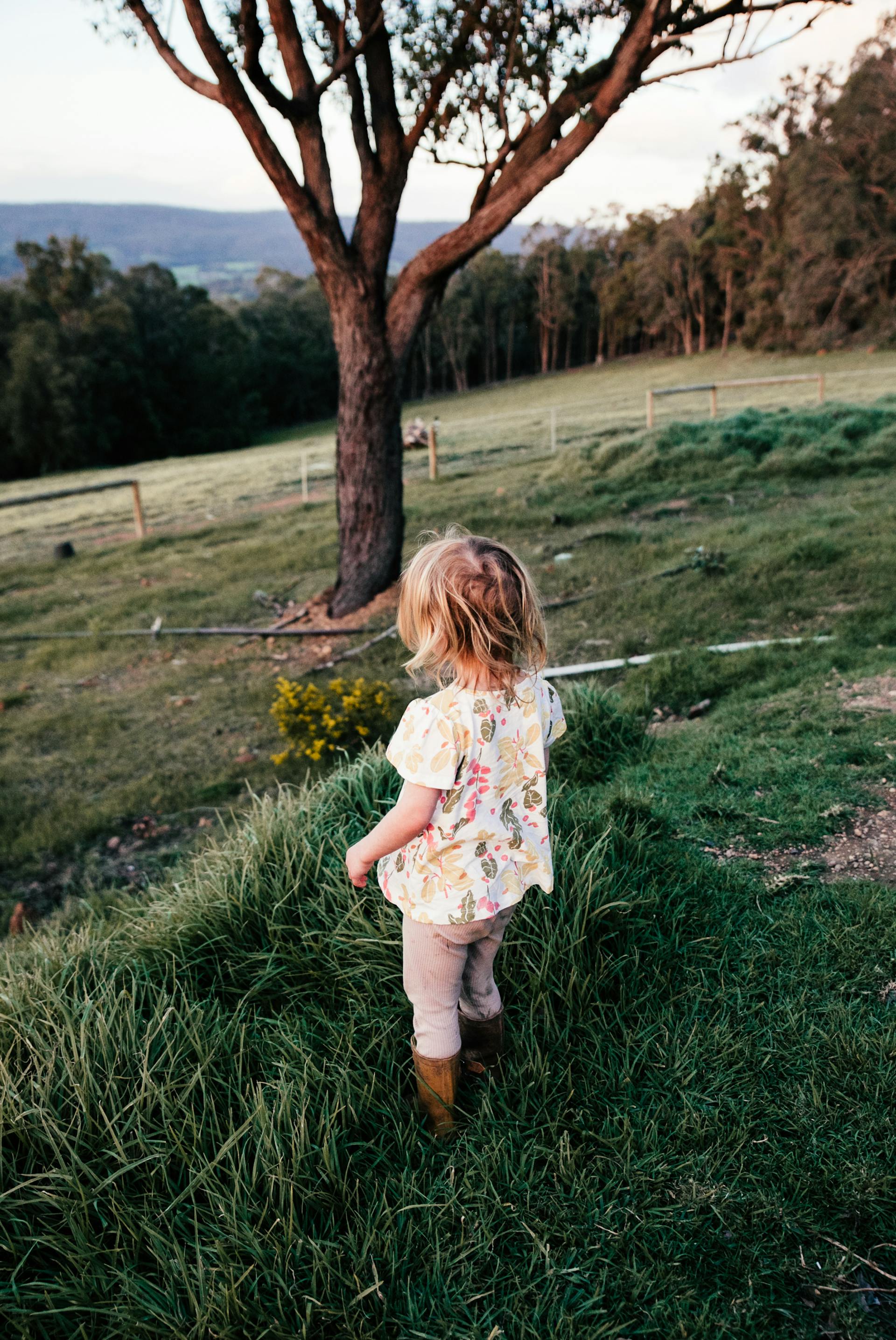 A little girl playing alone on the lawn | Source: Pexels