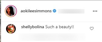 A fan's comment under a picture of Aoki Lee Simmons and her brothers, posted on Instagram. | Photo: Instagram/aokileesimmons