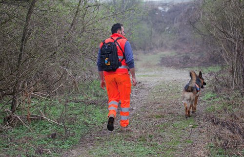 Un maître chien et son chien recherchent une personne disparue | Photo : Shutterstock