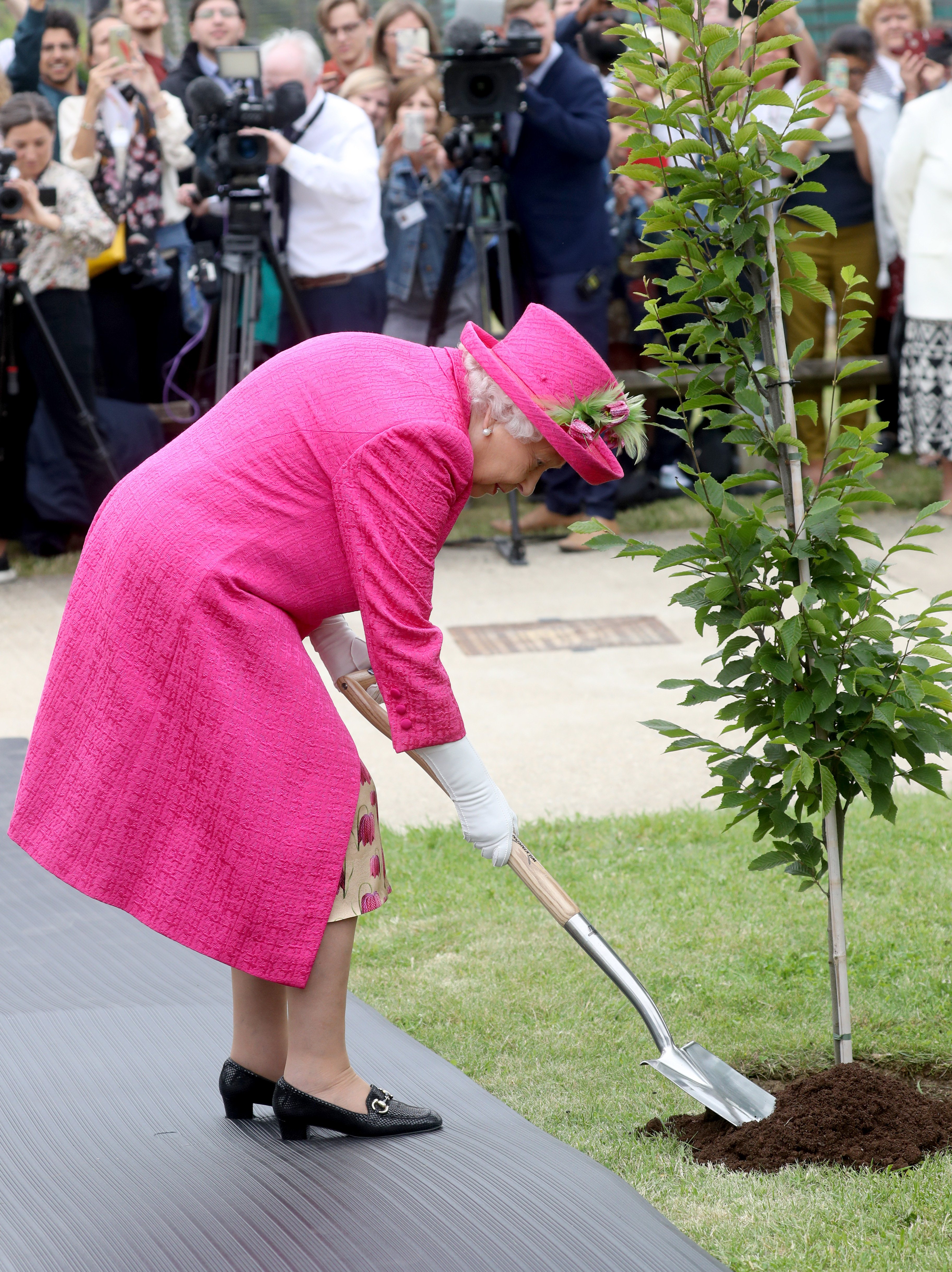 Queen Elizabeth II plants a tree at the National Institute of Agricultural Botany in July 2019 | Source Getty Images