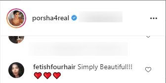 Another fan's comment  on Porsha Williams' post on Instagram | Photo: Instagram/porsha4real