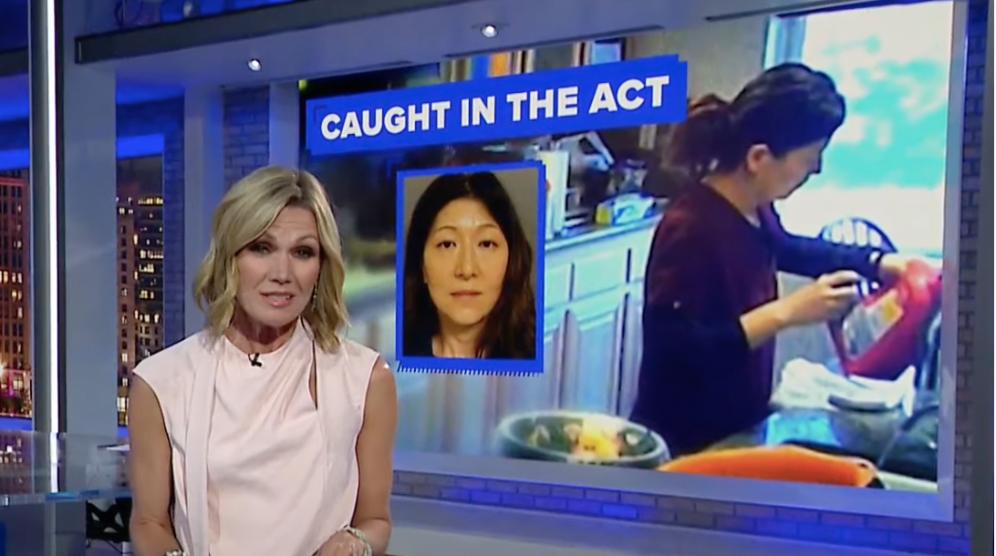 ABC7 reporter with footage of Emily Yu caught on camera with drain cleaner | Source: Youtube.com/ABC7