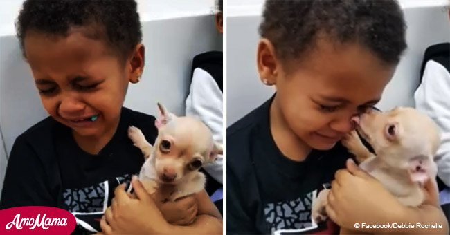 Boy cries with joy over new puppy