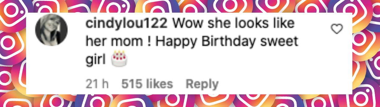 Fan comment about Vivian Brady, posted on December 5, 2024 | Source: Instagram/tombrady