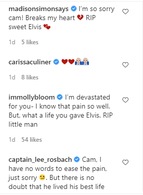 Comments on Cameran Eubanks page Source | Photo: instagram.com/camwimberly1/