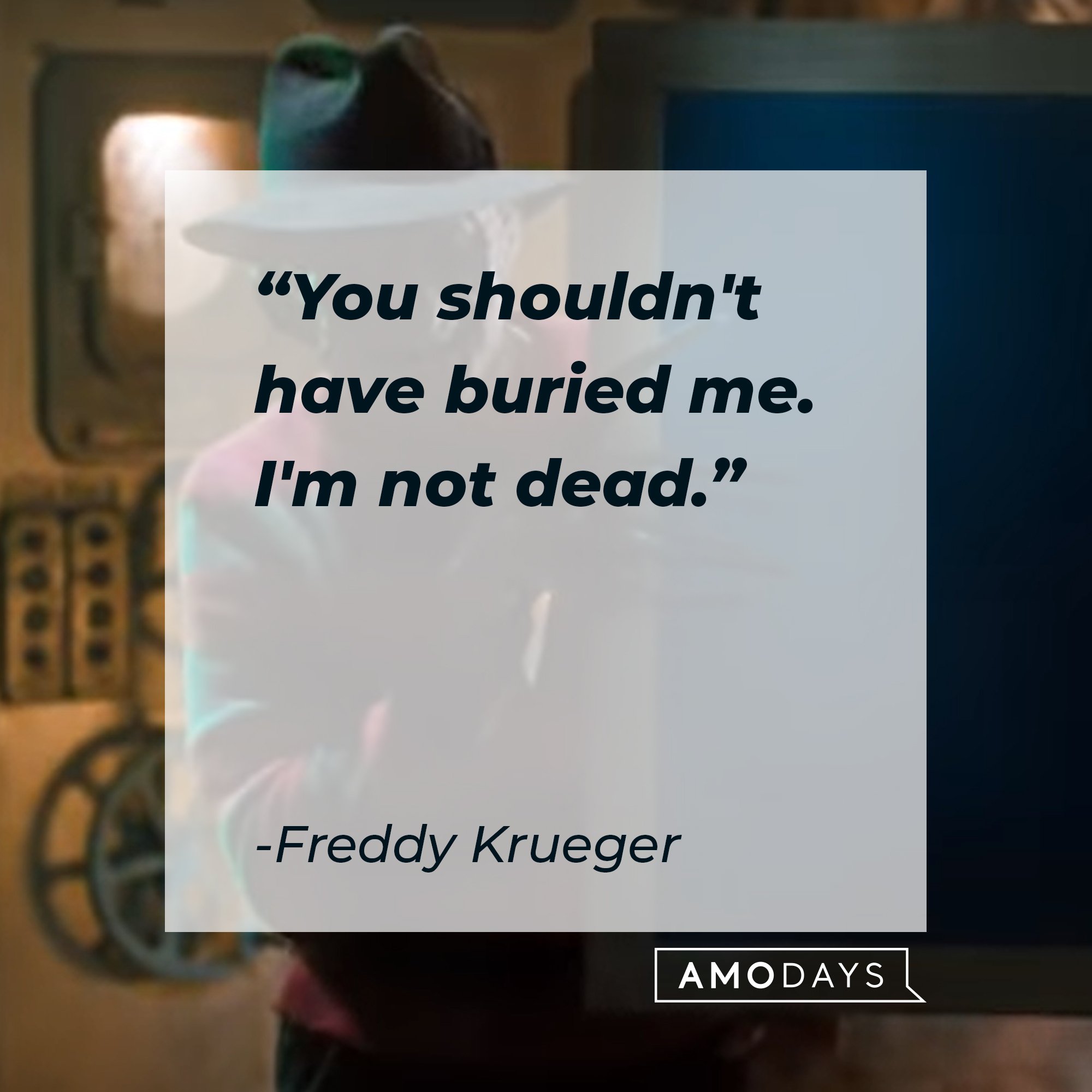 Freddy Krueger’s quote: "You shouldn't have buried me. I'm not dead." | Image: AmoDays