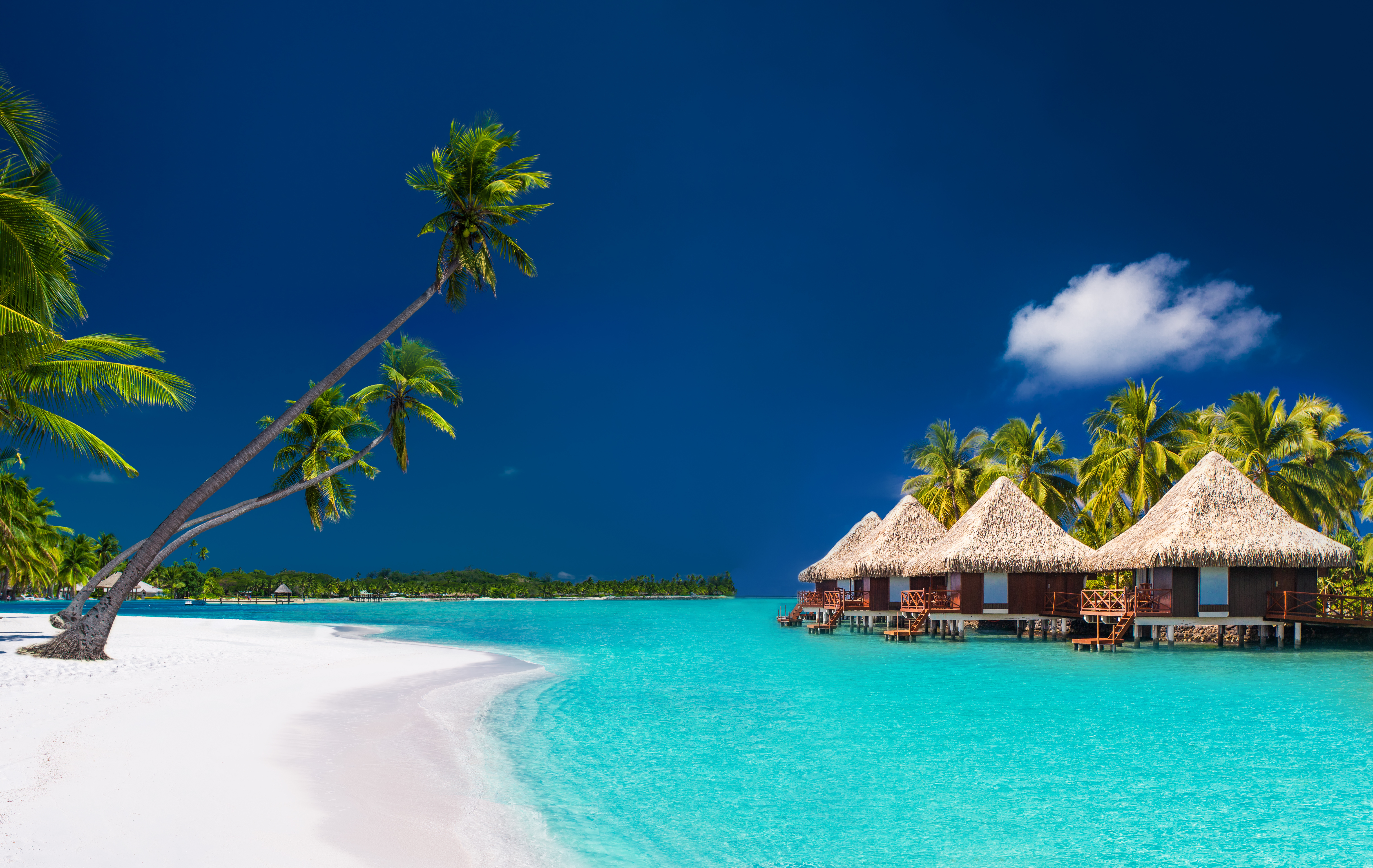 Villas by the beach in Bora Bora | Source: Shutterstock