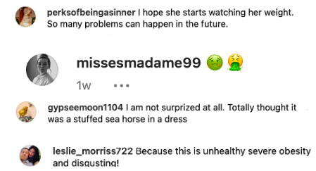 A screenshot of some nasty comments about Alana's appearance after her prom pictures got posted on Instagram on April 28, 2023 | Source: Instagram.com/honeybooboo