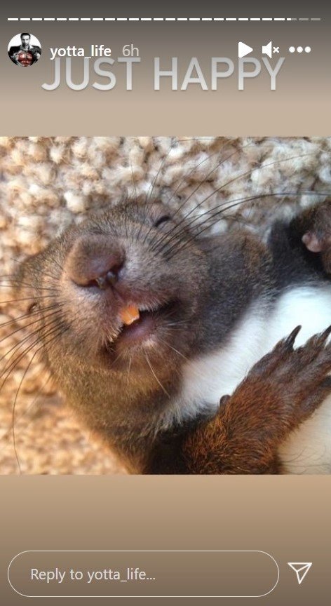 Screenshot der Instagram-Story von Bastian Yotta, in der sein Eichhörnchen ein Nickerchen macht | Quelle: Instagram/yotta_life