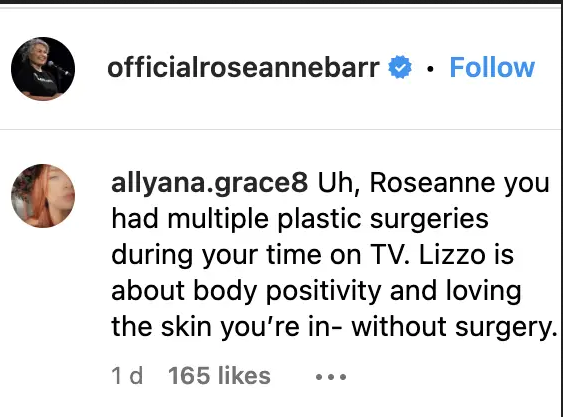 Screenshot of a comment on Roseanne Barr's post. | Source: officialroseannebarr