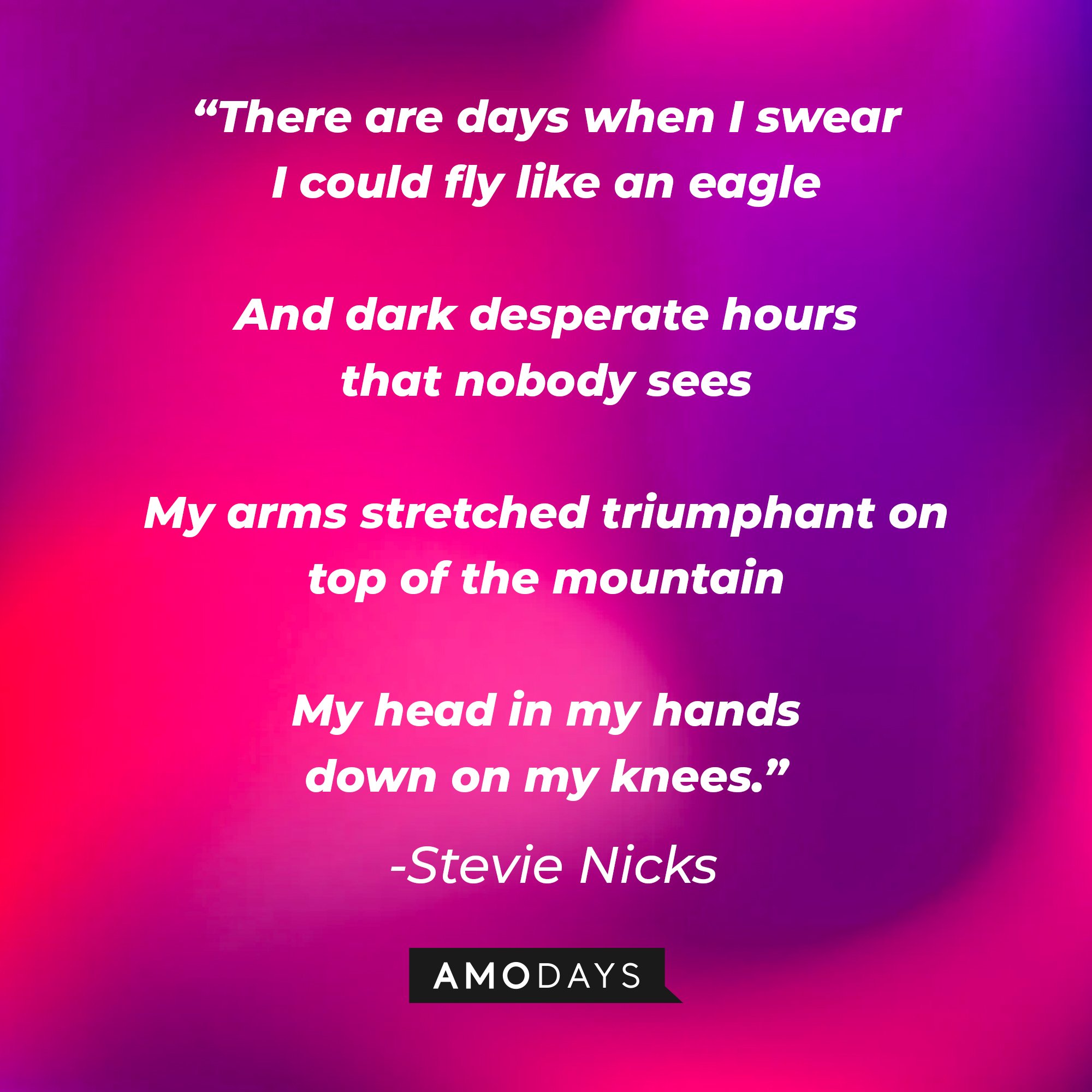 Stevie Nicks's quote: "There are days when I swear I could fly like an eagle And dark desperate hours that nobody sees My arms stretched triumphant on top of the mountain My head in my hands down on my knees." | Image: AmoDays
