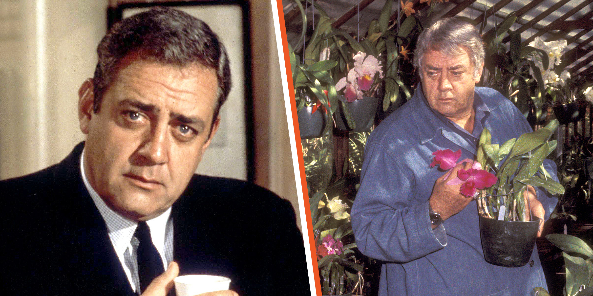 Raymond Burr | Raymond Burr | Source: Getty Images