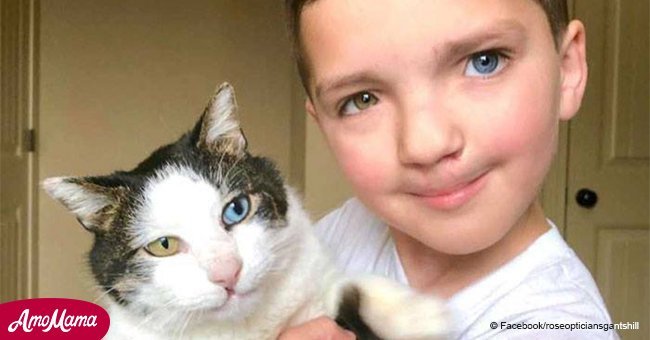 Bullied little boy adopted a rescue cat with same rare eye condition and a cleft lip