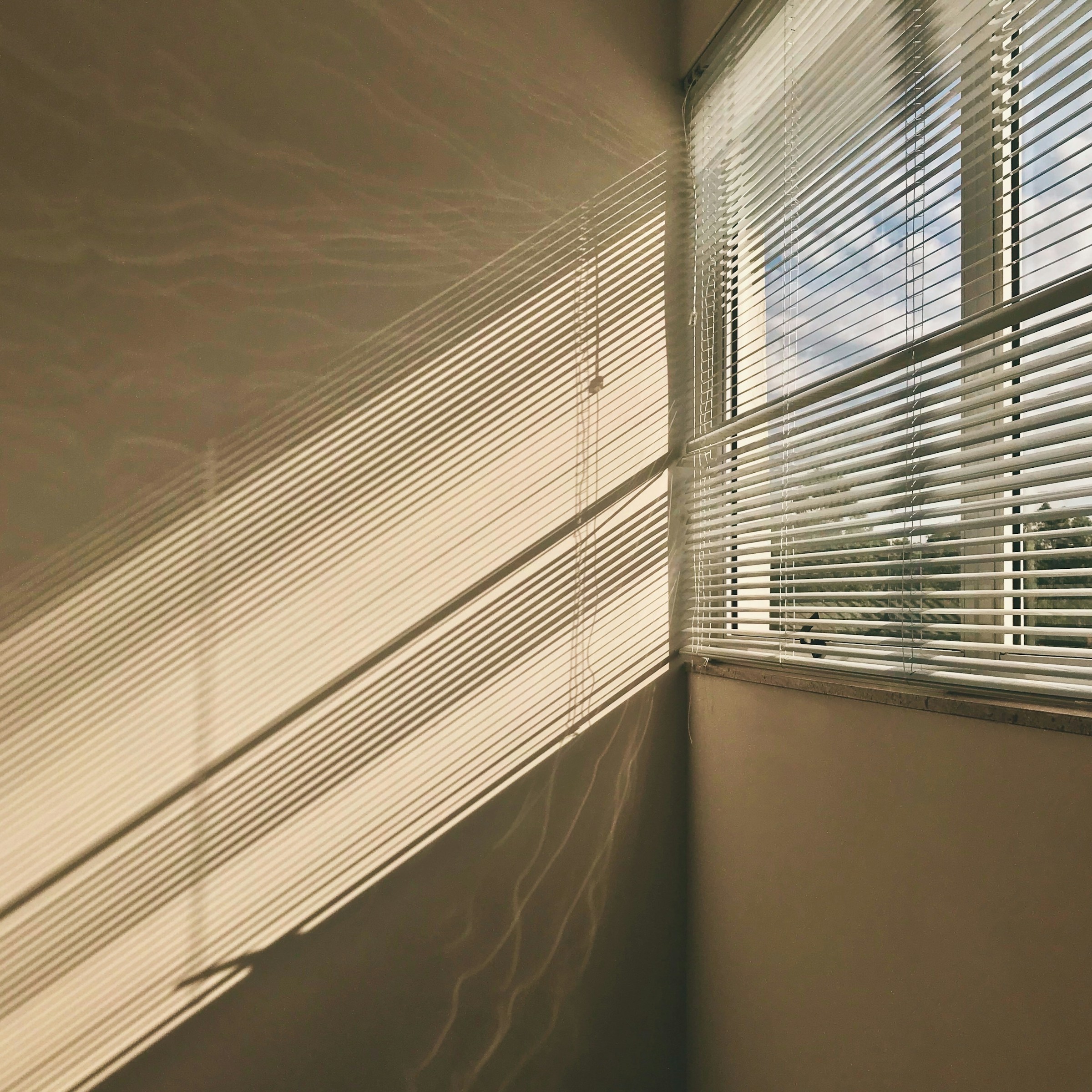 Sunlight through blinds | Source: Unsplash