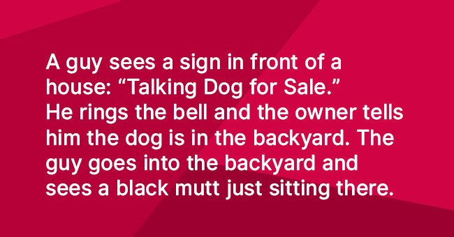 Man found someone selling a talking dog for only $10