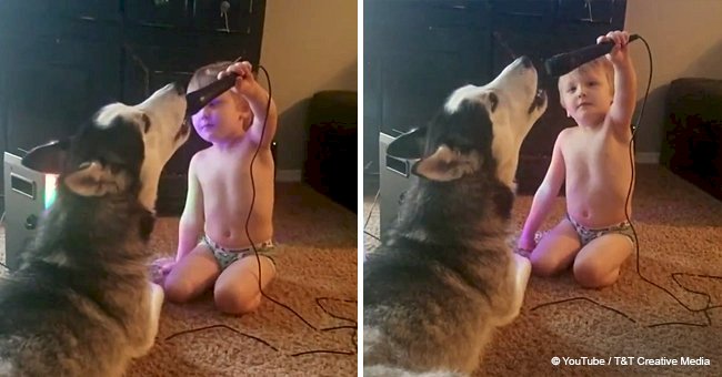 Husky shows off its karaoke skills while singing with a child