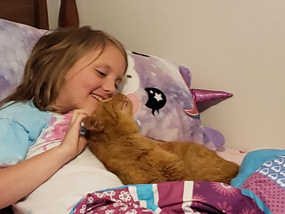 Farrells Tochter in ihrem Bett mit der Katze Pumpkin Jr. I Quelle: facebook.com/myhousenotmycat