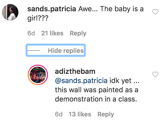 Bambi responded to a fans question about the gender of her baby after she shared a video of herself painting a pink wall | Source: Instagram.com/adizthebam