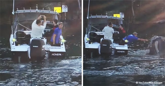 The incredible moment a whale 'asked' two fishermen to remove rubbish from its mouth