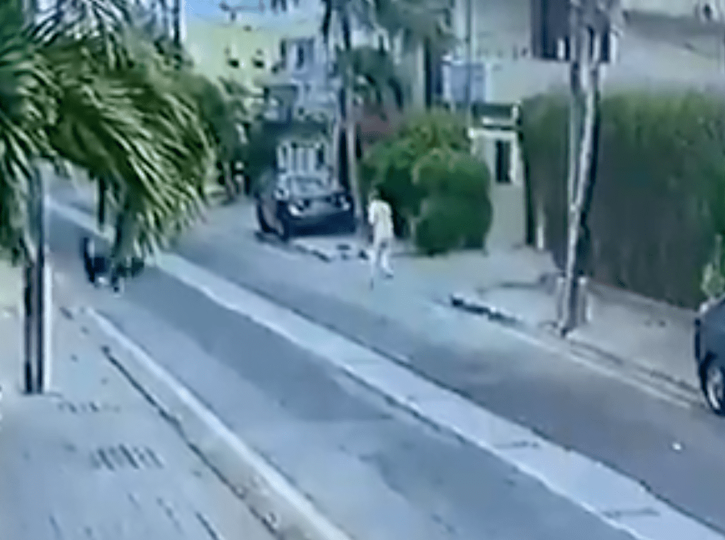 Dog runs toward a man who is walking through his neighbourhood | Photo: Twitter/ComicsByMajid