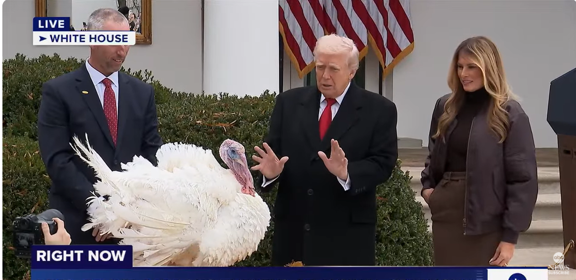 President Donald Trump grants a pardon to the turkey Gobble during the ceremony, while Waddle is not in view, as seen from a video post dated November 25, 2025. | Source: YouTube/ABCNews