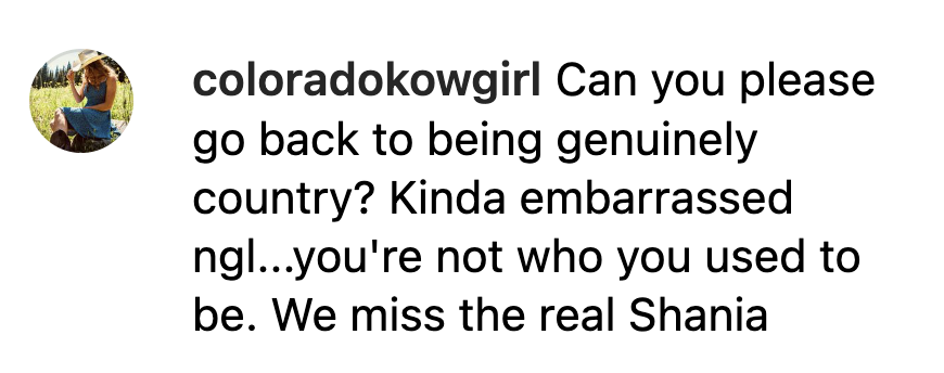 Comment from an Instagram user on Shania Twain's post from April 4, 2023 | Source: Instagram.com/shaniatwain