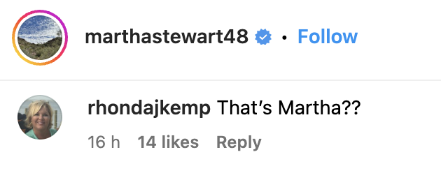 A comment left under a photo of Martha Stewart in April 2023 on Instagram | Source: instagram.com/marthastewart48/