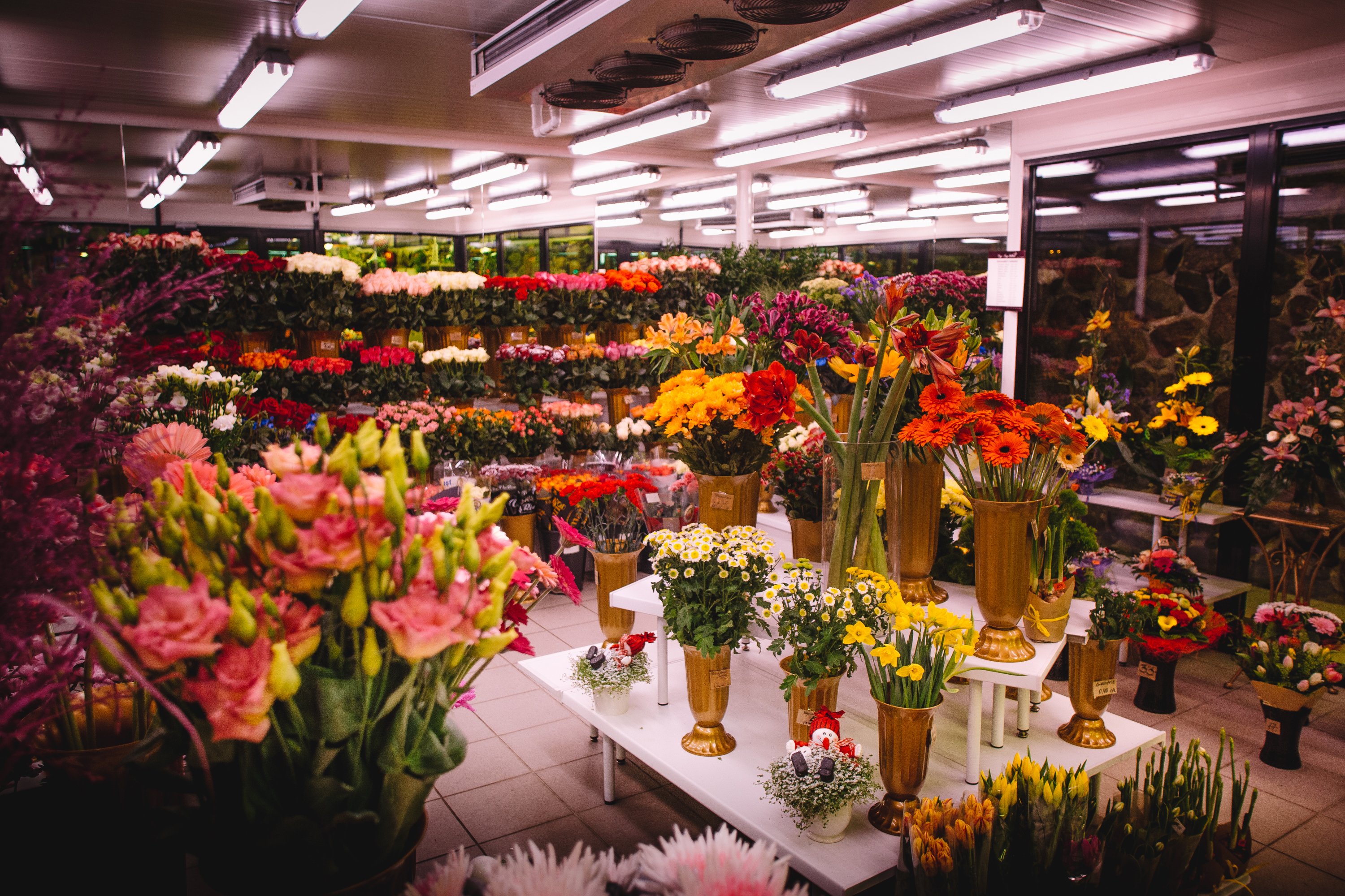 Huge beautiful flowershop and wide assortment of flowers. | Source: Shutterstock