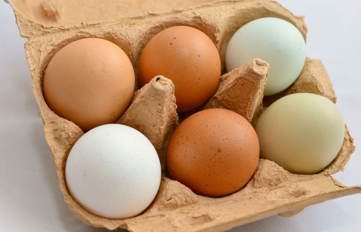 Huevos en caja de cartón. | Imagen: PxHere Huevos en caja de cartón. | Imagen: PxHere