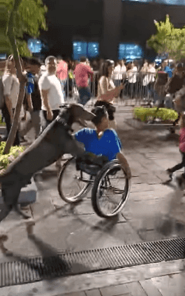 Perro ayuda a joven con discapacidad. | Imagen tomada de: YouTube/ViralHog