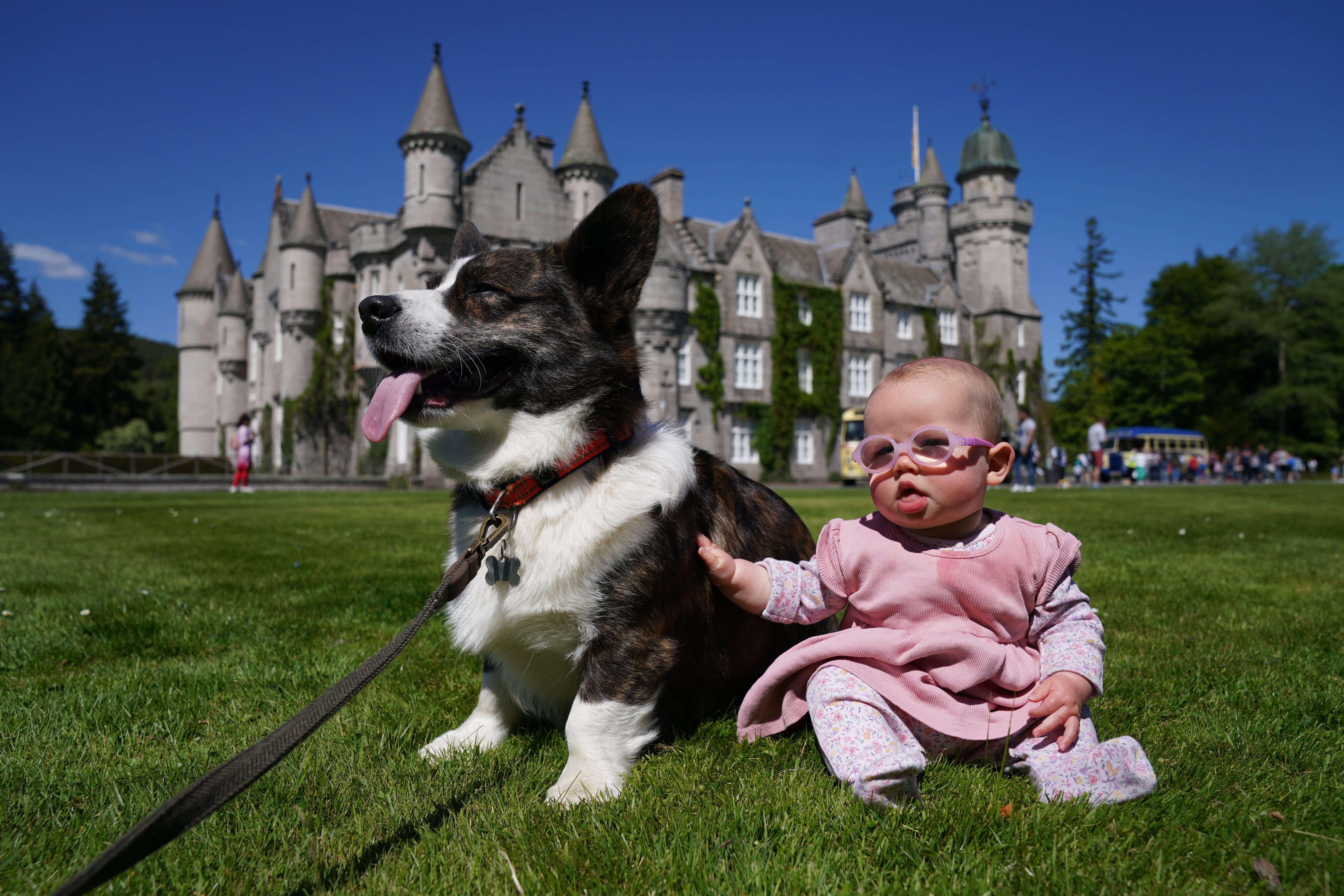 Joy Stephen with her corgi Marvin on the front lawn at Balmoral during an event with the Corgi Society of Scotland to mark the Queen's Platinum Jubilee on June 4, 2022. | Source: Getty Images
