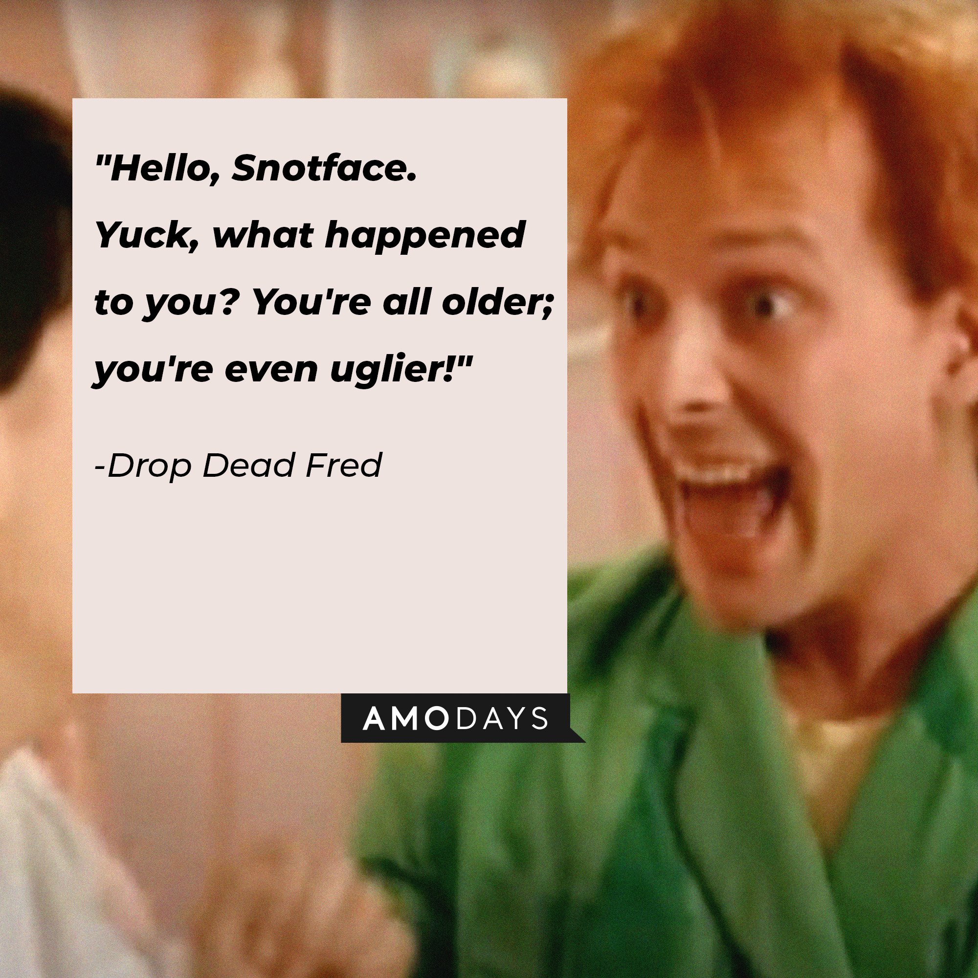 Drop Dead Fred's quote: "Hello, Snotface. Yuck, what happened to you? You're all older; you're even uglier!"  | Image: AmoDays