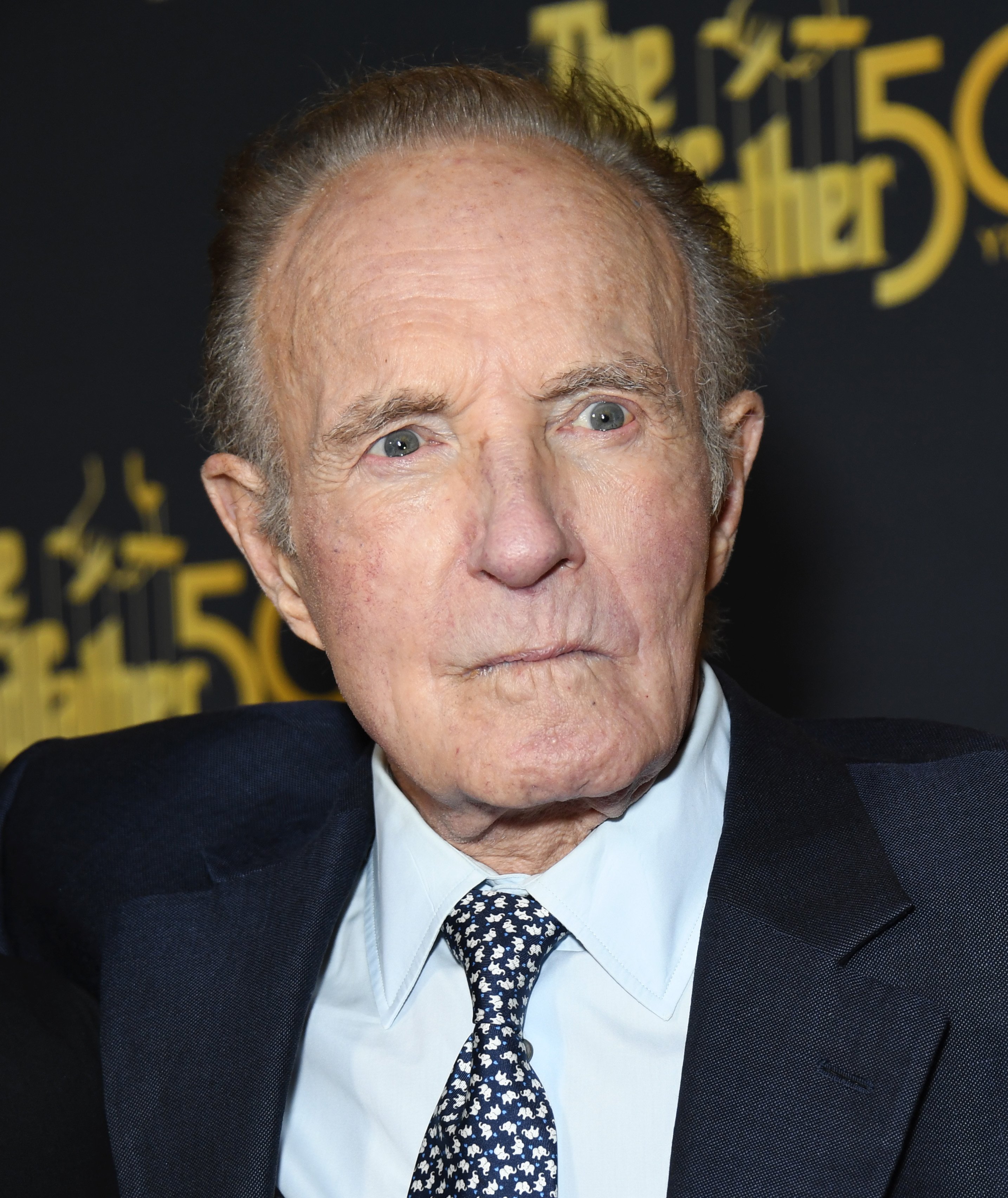 James Caan during "The Godfather" 50th Anniversary Celebration at Paramount Theatre on February 22, 2022 in Los Angeles, California. / Source: Getty Images