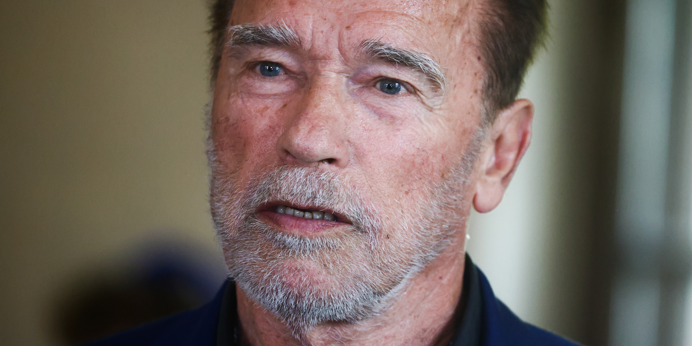 Arnold Schwarzenegger | Source: Getty Images